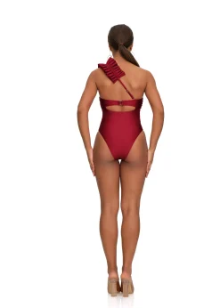 Nisi One Piece Swimsuit-Wine<Andrea Iyamah Online