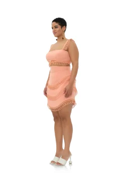 Rizo Corset Skirt-Powder Peach<Andrea Iyamah New