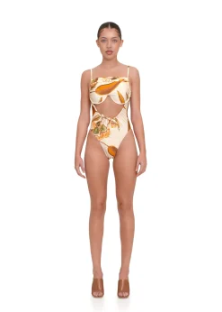 Tiaca Eucalyptus One Piece Swimsuit<Andrea Iyamah Clearance